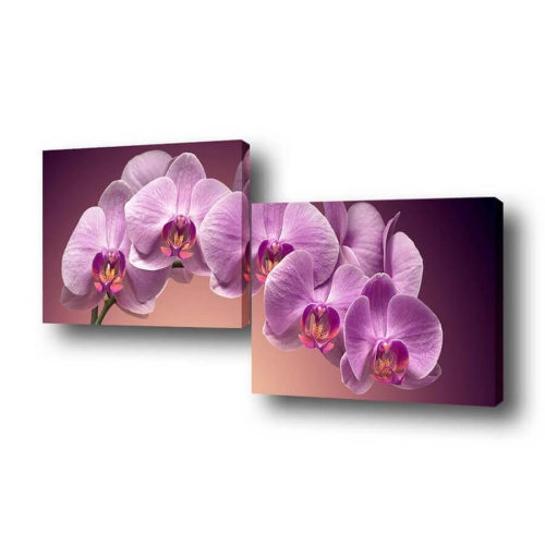 Модульная картина Нежность цветка Toplight 150х50см TL-M2019