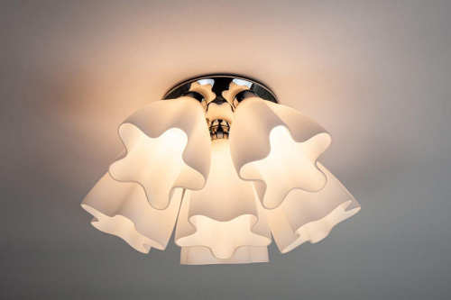 Потолочная люстра Escada 8008/6PL