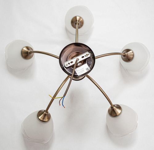 Потолочная люстра Escada 1101/5P