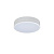 Потолочный светодиодный светильник Loft IT Axel 10002/12 white