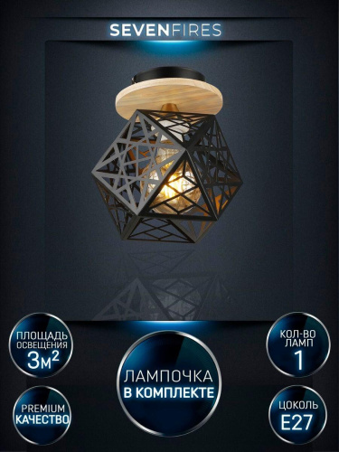 Потолочный светильник Seven Fires Aland WD3572/1C-BK Потолочный светильник Seven Fires Aland WD3572/1C-BK