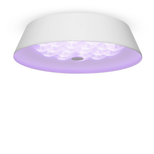 Потолочный светодиодный светильник Freya Cells FR10013CL-L24W