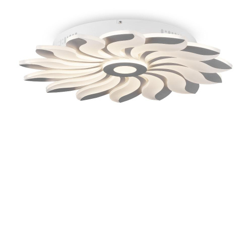 Потолочный светодиодный светильник Freya Cameron FR10023CL-L127W