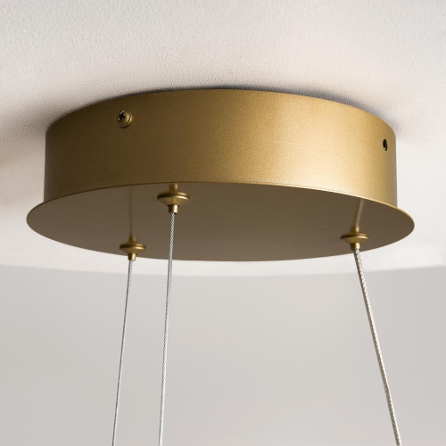 Подвесной светильник Maytoni MOD241PL-L60BSK