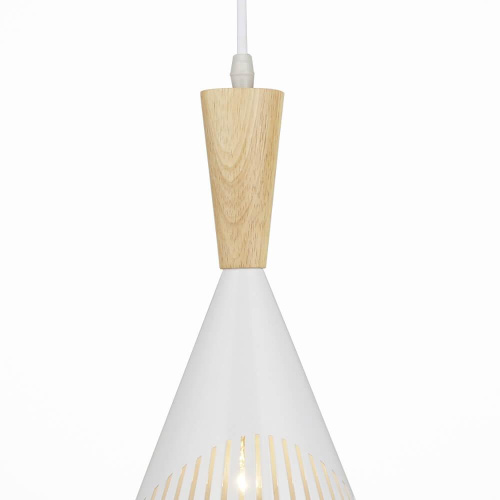 Подвесной светильник Wedo Light Parma 66574.01.09.01