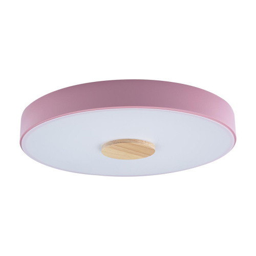Потолочный светодиодный светильник Loft IT Axel 10003/24 pink Потолочный светодиодный светильник Loft IT Axel 10003/24 pink