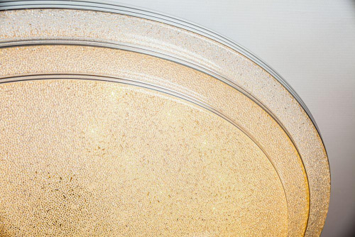 Потолочный светодиодный светильник Escada 10268/S LED