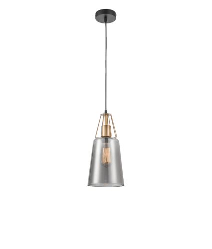 Подвесной светильник Vele Luce Roberto VL5552P21