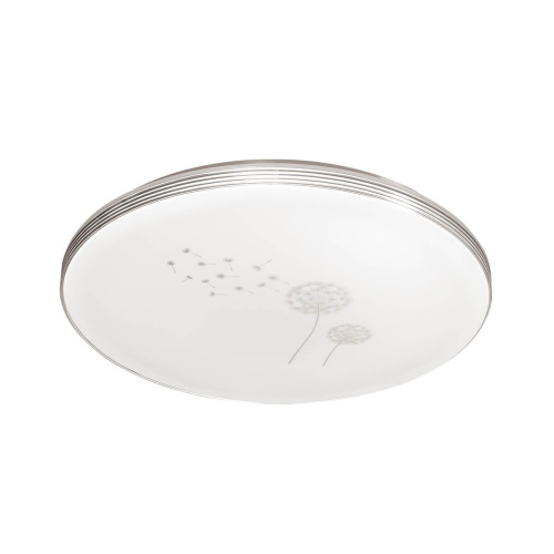 Настенно-потолочный светильник Sonex Airita 3005/DL