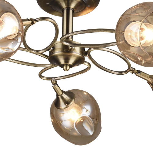 Потолочная люстра Wedo Light Эмма 65921.01.05.05