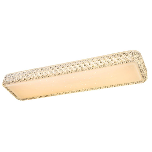 Потолочный светодиодный светильник Globo Kelly 41339-24W