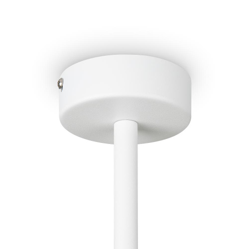 Потолочный светильник Freya FR5363CL-06W Потолочный светильник Freya FR5363CL-06W