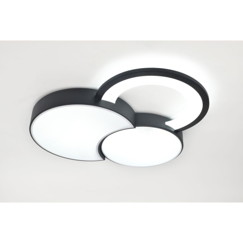 Потолочный светодиодный светильник Rivoli Aliona 6161-702 Б0066452