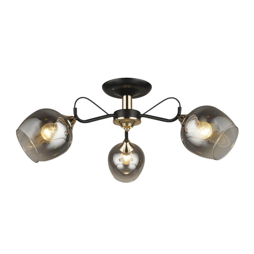 Потолочная люстра Seven Fires Isora 66606.01.69.03