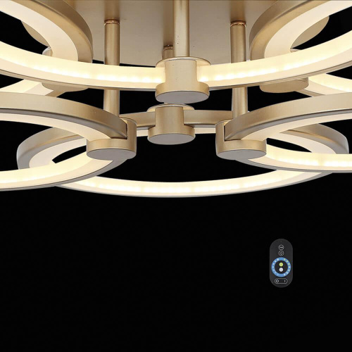 Потолочная светодиодная люстра ST Luce Twiddle Dimmer SL867.202.06