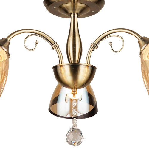 Потолочная люстра Wedo Light Rossano 66415.01.05.03