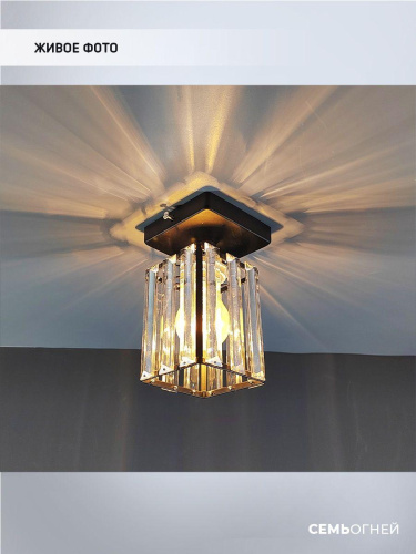 Потолочный светильник Seven Fires Netta WD3519/1C-BK-CL Потолочный светильник Seven Fires Netta WD3519/1C-BK-CL