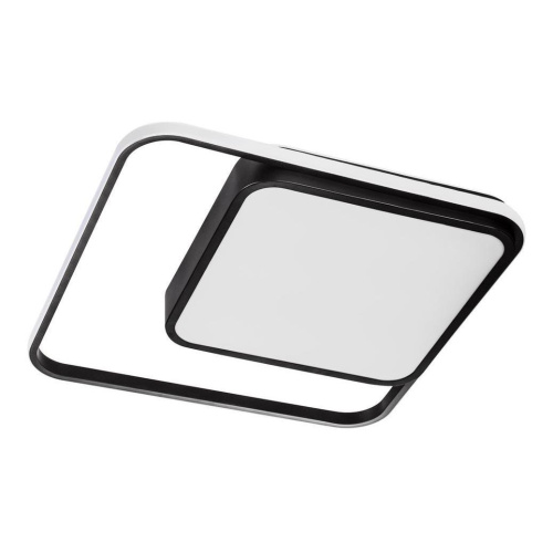 Потолочный светодиодный светильник Escada 10210/2LED Потолочный светодиодный светильник Escada 10210/2LED