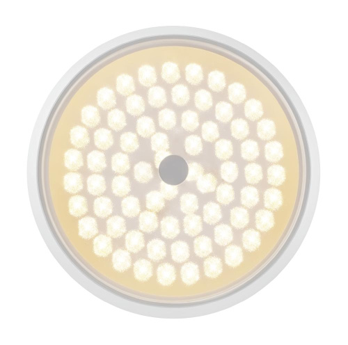 Потолочный светодиодный светильник Freya Cells FR10012CL-L24W