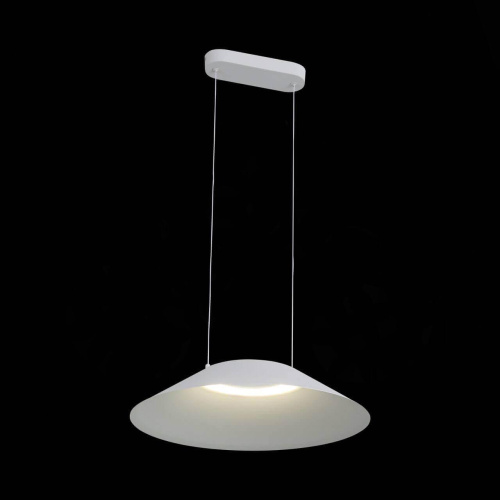 Подвесной светодиодный светильник ST Luce Pitto SL427.513.01