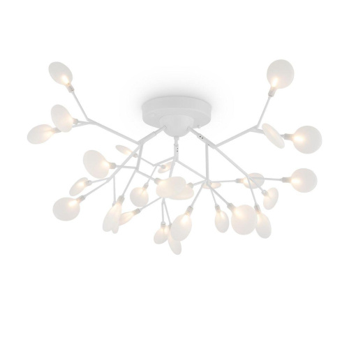 Потолочная люстра Freya Florencia FR5049CL-27W1