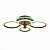 Потолочная светодиодная люстра Evoled Cerina SLE500572-04RGB