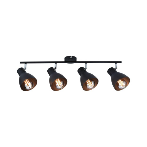 Спот Paulmann Davy 66762 Спот Paulmann Davy 66762