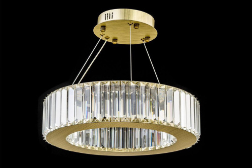 Подвесной светодиодный светильник Arti Lampadari Anzio L 1.5.40.100 G