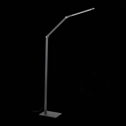 Торшер ST Luce Pialeto SL843.805.01