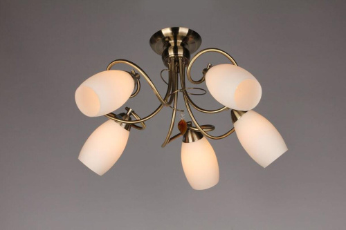 Потолочная люстра Omnilux OML-37227-05