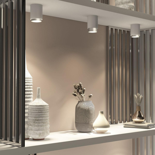 Накладной светодиодный светильник Elektrostandard Cors 25032/LED белый/серебро a062387 Накладной светодиодный светильник Elektrostandard Cors 25032/LED белый/серебро a062387