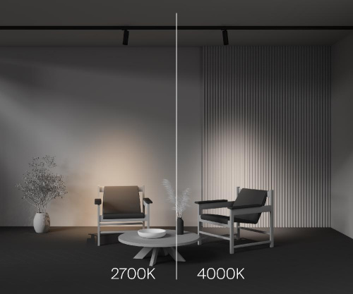 Трековый светильник Technical TR198-3-20W2.7K-Z-B