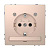 Розетка Schneider Electric Merten D-Life 16A с/з и LED модулем MTN2304-6051