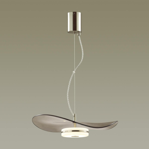 Подвесной светодиодный светильник Odeon Light Fluent 4858/13L