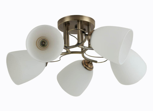 Потолочная люстра Rivoli Carlo 9005-305 Б0044453