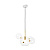 Подвесной светильник Loft IT Bolle 2027-P6 mini