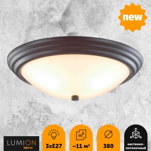 Настенно-потолочный светильник Lumion Vintage Kayla 5263/3C