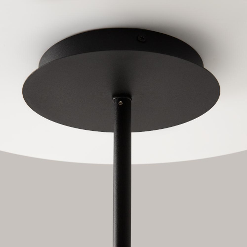 Подвесная люстра Maytoni Technical Mollis MOD126PL-08B