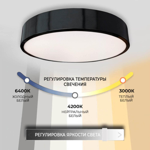 Потолочный светодиодный светильник Seven Fires Эйри 48200.30.36.77BK Потолочный светодиодный светильник Seven Fires Эйри 48200.30.36.77BK