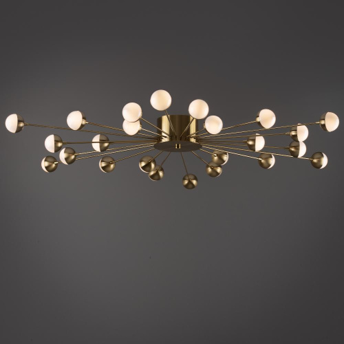 Потолочный светильник Freya FR5242CL-24BS Потолочный светильник Freya FR5242CL-24BS