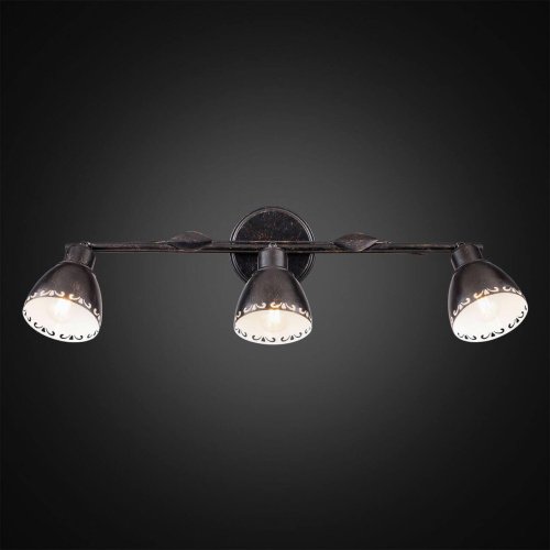 Спот Citilux Робуста CL509532