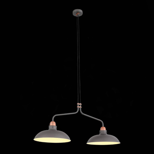 Подвесная люстра ST Luce Pietanza SL323.403.02 Подвесная люстра ST Luce Pietanza SL323.403.02