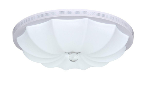 Потолочный светодиодный светильник Escada 10231/S LED