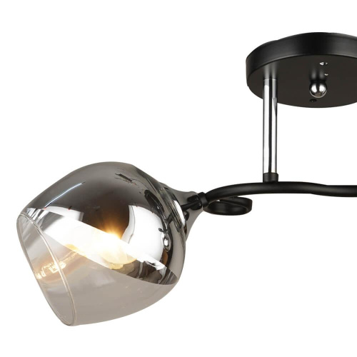 Потолочная люстра Wedo Light Совер 66371.01.13.02