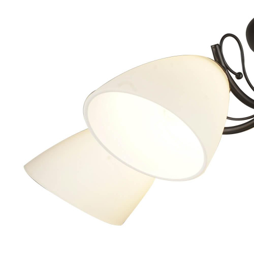 Потолочная люстра Wedo light Алес 66268.01.69.05