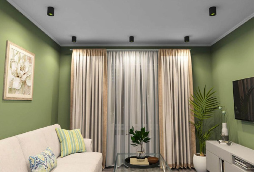 Потолочный светильник Denkirs DK3020BGR DK3090-BK+GR