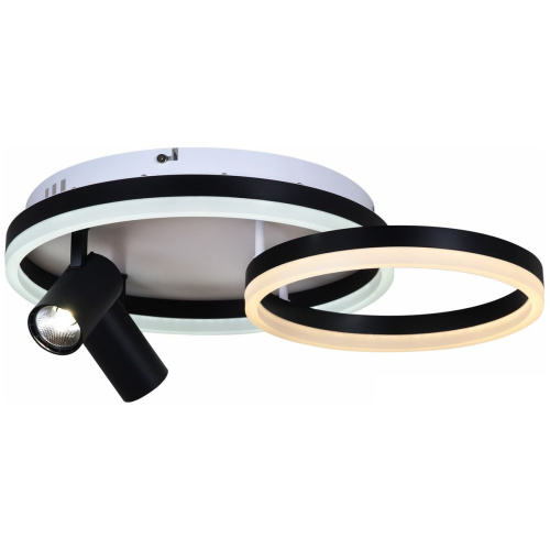 Потолочная светодиодная люстра Reluce 02464-0.3-550