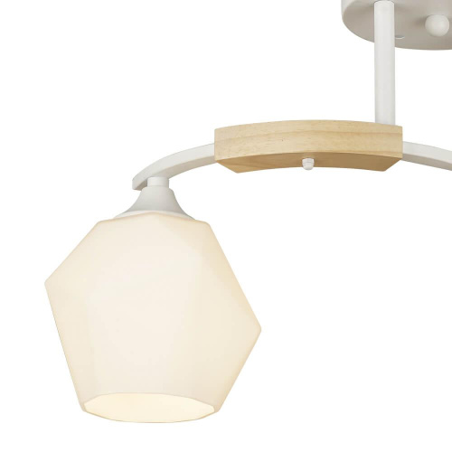 Потолочная люстра Wedo Light Lalio 66587.01.09.02