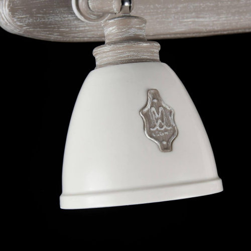 Спот Maytoni Agnes SP289-CW-02-BG