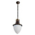 Уличный подвесной светильник Arte Lamp Vienna A1317SO-1BN